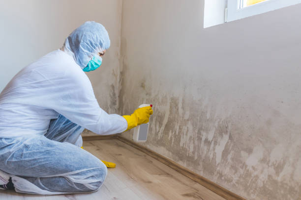 Licensed Mold Inspection service in Lurgan, PA - WQB Mold Removal