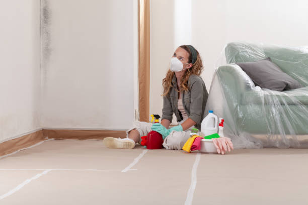 Reliable Mold Inspection contractor in Lurgan, PA by WQB Mold Removal
